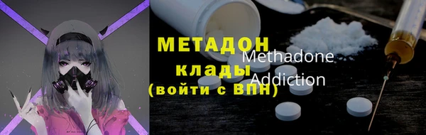 стаф Алексин
