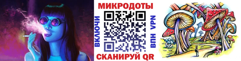 мега онион  Ельня  Галлюциногенные грибы ЛСД 